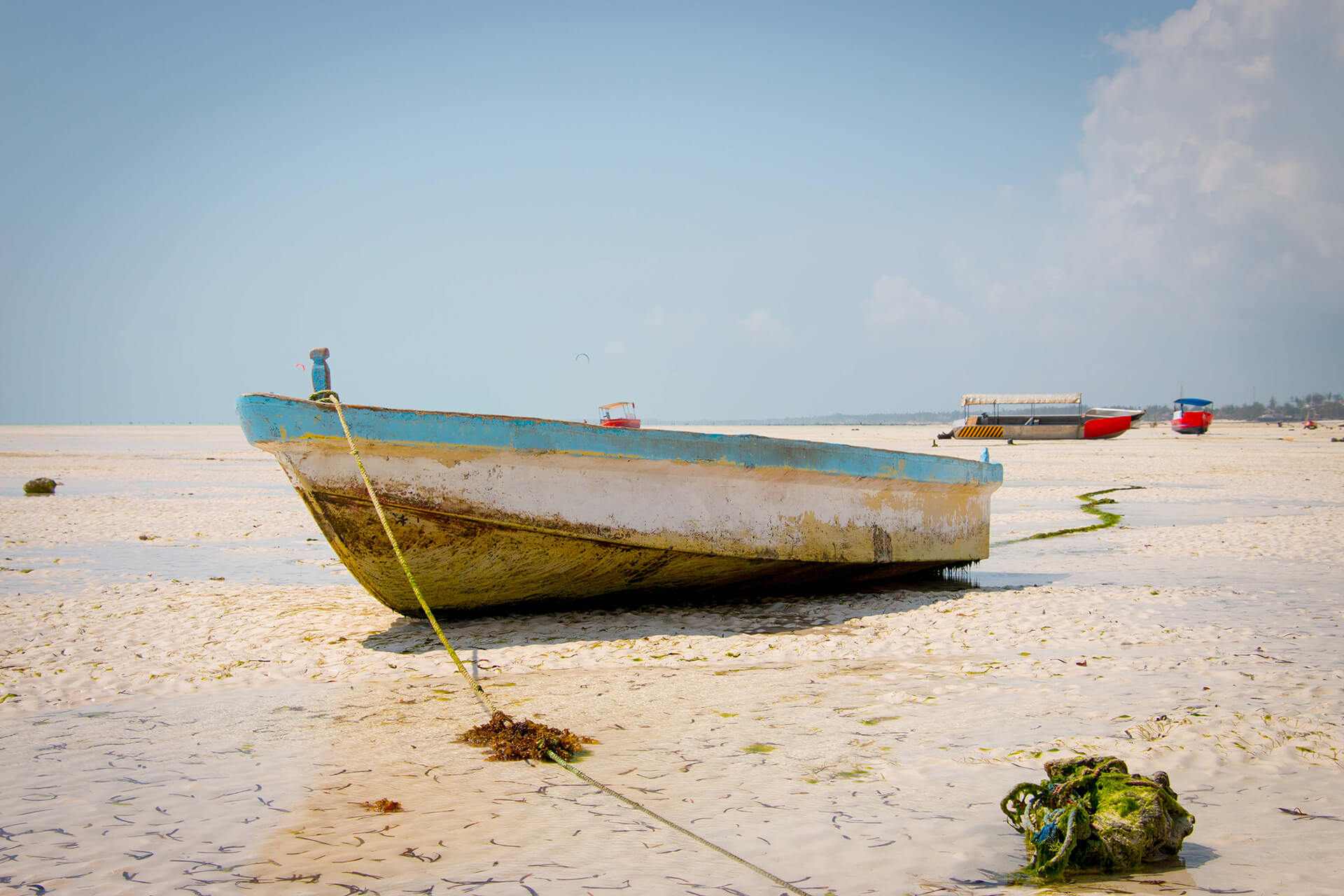 Zanzibar (petr)